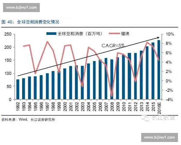 围绕积分形势变化全面分析赛季竞争格局与出线前景走势关键节点